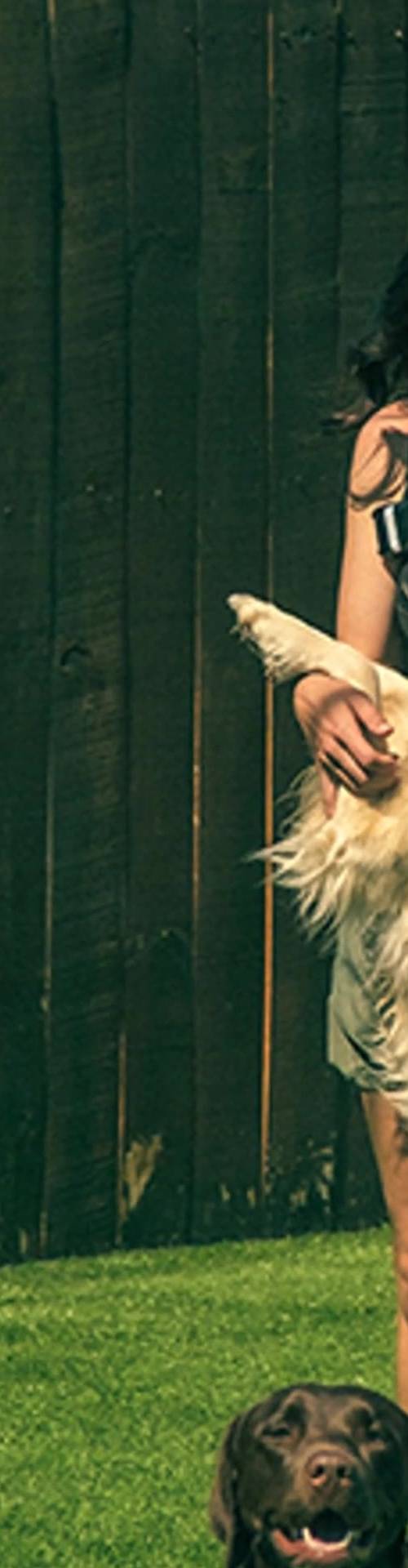 Nashville Pet Spa — Pet Grooming in Nashville